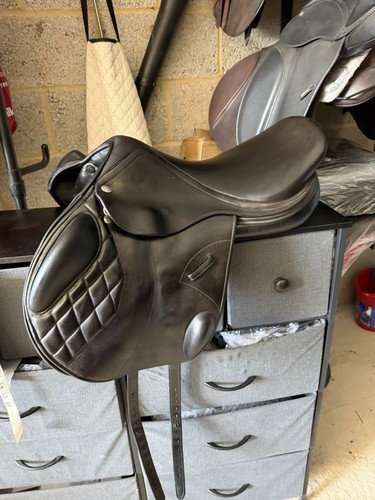 Zoll harry dabbs - 17,
