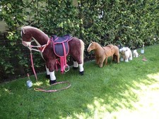 TOP gepflegt - großes, sehr