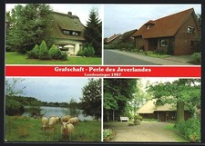 Grafschaft /Schortens, Kleine