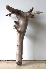 Treibholz Schwemmholz