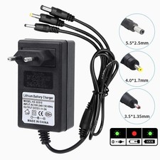 R49C 12V 2A Ladegerät für