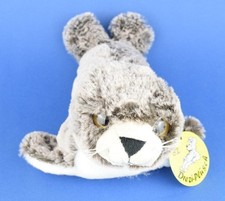 Stofftier seehund robbe drei - seehund,
