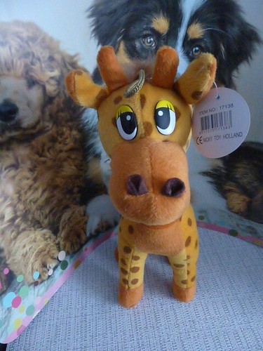 Nicky toy plüsch giraffe - ☆,