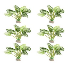  6 Pcs Pflanzen Für Aquarium