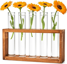 Cieex Reagenzgläser