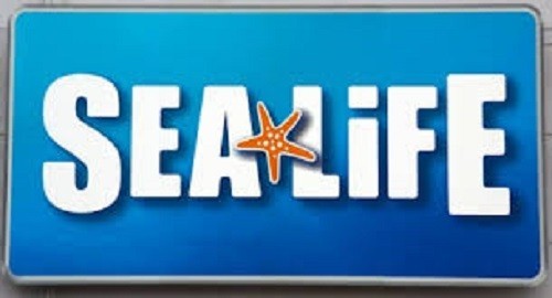Sealife park rabatt - rabatt, ☆
