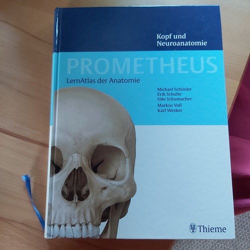 Prometheus kopf hals und - prometheus,