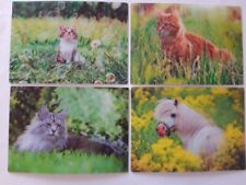 3 D Ansichtskarte Katzen Pferd Pony Kater Postkarte Wackelkarte Hologrammkarte