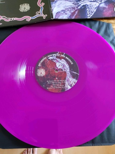Numidia foc neon purple - neon,