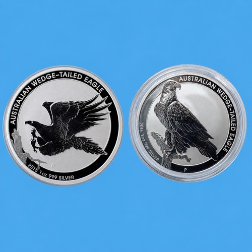 Wedge tailed eagle 2015 - wedge-tailed,