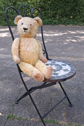 Alter teddybär cm zum - cm,
