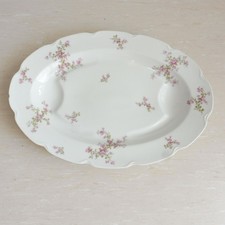 Fleischplatte  Frank Haviland France Paris - Limoges