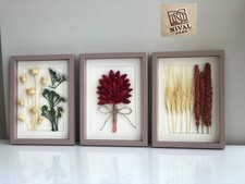 Trockenblumen Bilderrahmen