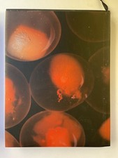 Ferran Adria Juli Sole-r- Albert Adria El Bulli 2003/2004 RBA 2005, El Bulli