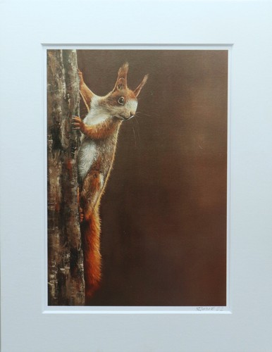 Rotes eichhörnchen gemälde - rotes,