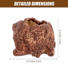  Sukkulenten-blumentopf