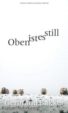 Oben ist still roman - es,