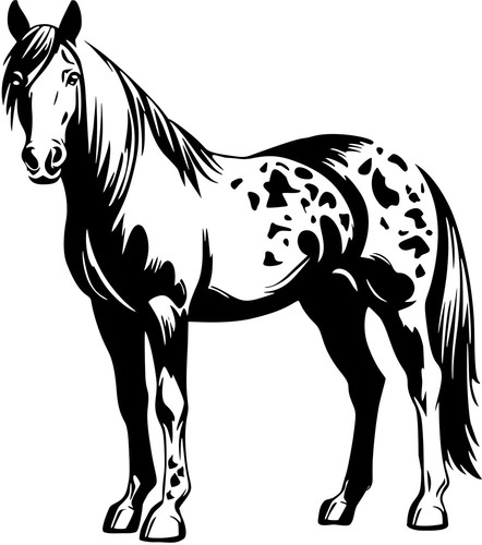 Aufkleber pferd pferdanhänger - aufkleber,