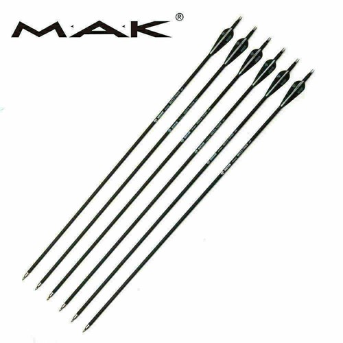 12x sp500 carbon pfeil - 12x,