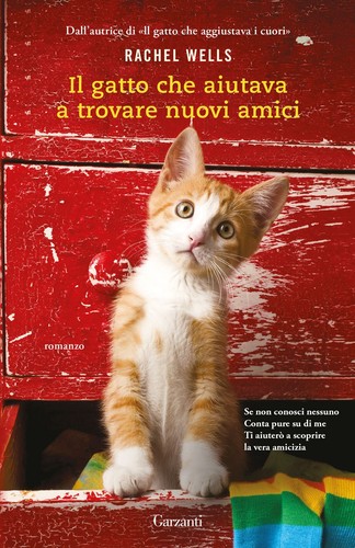 Buch wells rachel - wells, die
