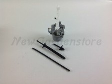 Vergaser Aufsitzmäher