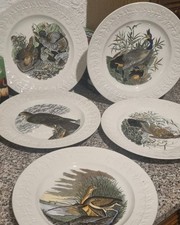 The Birds Of America |