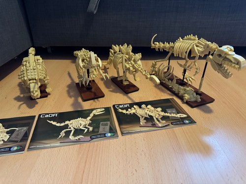 Cada dino fossilien set - fossilien,