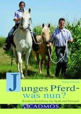Junges Pferd - was nun