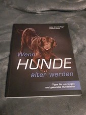 Wenn Hunde älter werden