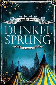 Dunkelsprung roman von swann - roman,
