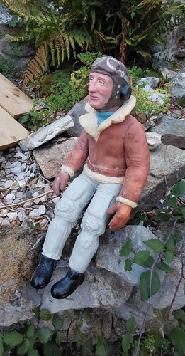 Scale tiger moth pilot - moth,