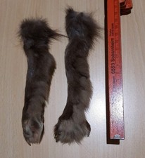 Echt Pelz  Silberfuchs Pfoten