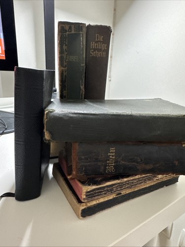 Die heilige schrift konvolut - die,