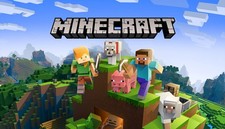 Minecraft: Java & Bedrock