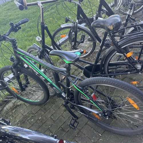 Mountainbike bulls sharptail - bulls, 2