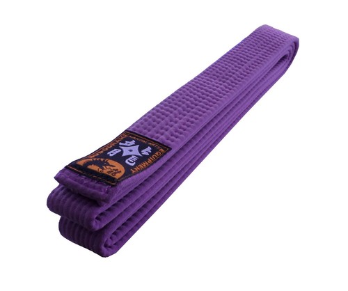 Violettgurt karate gürtel - karate,