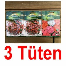 Saatgut Sortiment GERANIEN 3