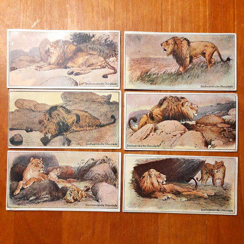 Stollwerck sammelbilder - stollwerck,