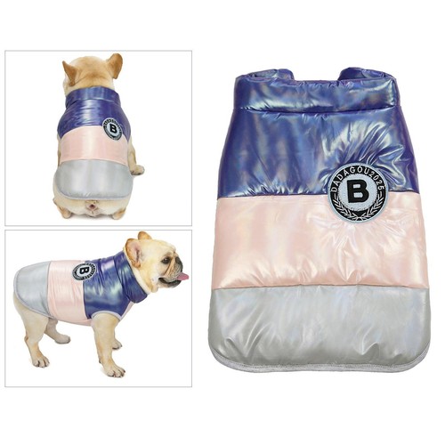 Haustier bulldogge hund welpe - haustier,