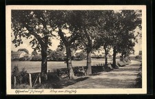 Hohwacht, Straßenpartie am Weg zum Buchholz, Ansichtskarte 