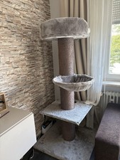 Gern Genutzter Kratzbaum