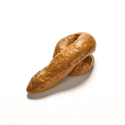 Realistic poop entertainment - realistic,