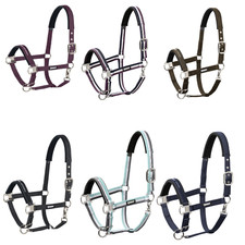 Eskadron Halfter Dornschnalle