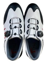 Ecco Golf Biom G2 Boa System