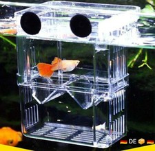 Zuchtbox Aquarien