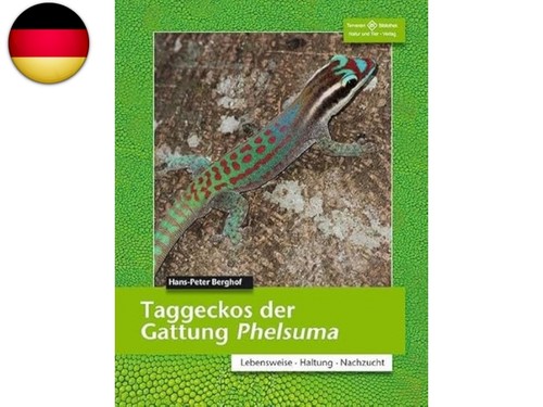 Taggeckos der gattung - taggeckos,