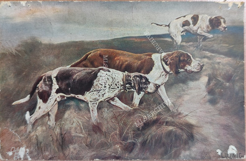 Postkarte jagdhund jäger - jagdhund,