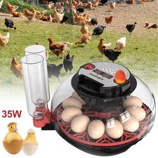 Eierinkubator für Hühner