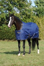 Outdoordecke 50g Irish Turnout