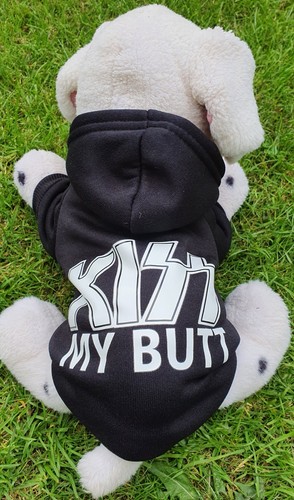 Neuer hunde pullover - hunde,
